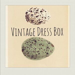 Vintage Dress Bundle Reseller Box